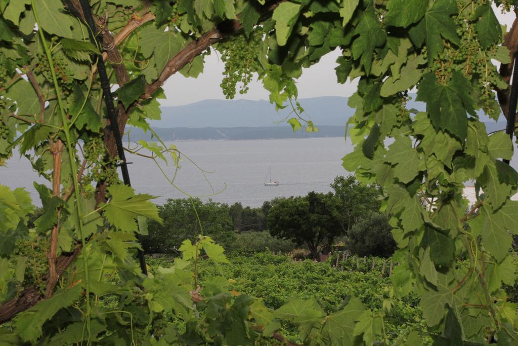 Holiday Home Vineyard House Bol Szoba fotó