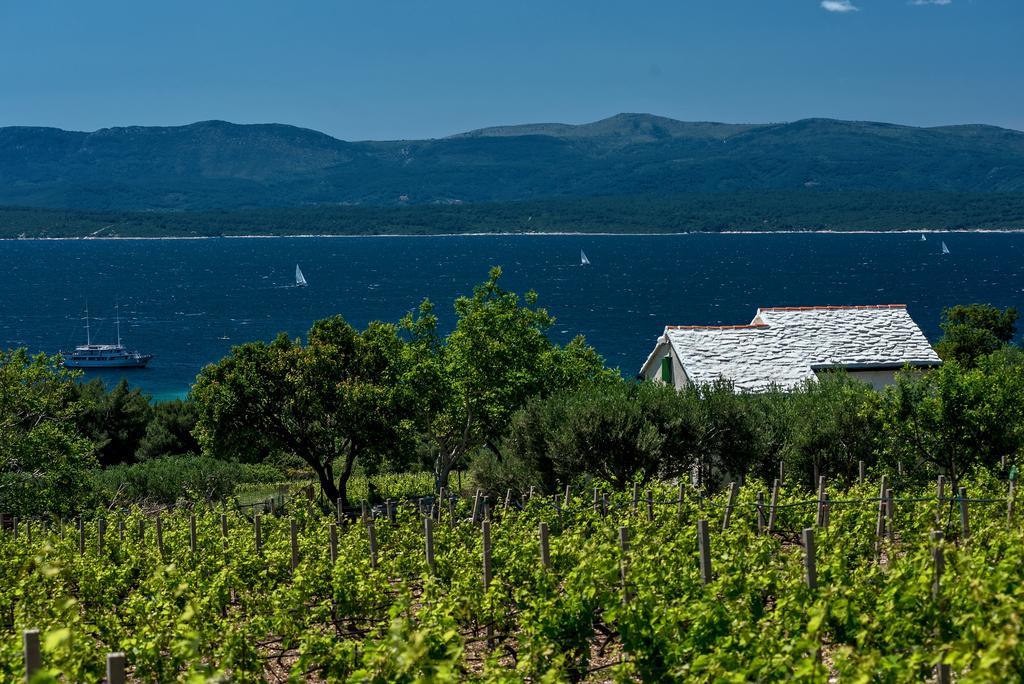 Holiday Home Vineyard House Bol Kültér fotó
