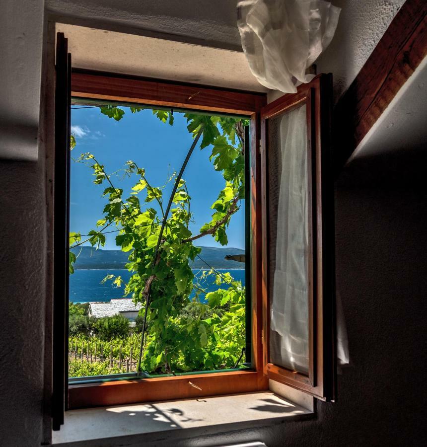Holiday Home Vineyard House Bol Kültér fotó